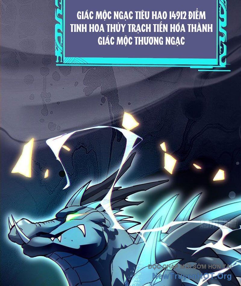 Thành Thần Bắt Đầu Từ Thủy Hầu Tử