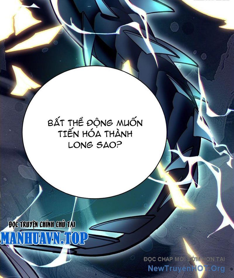 Thành Thần Bắt Đầu Từ Thủy Hầu Tử