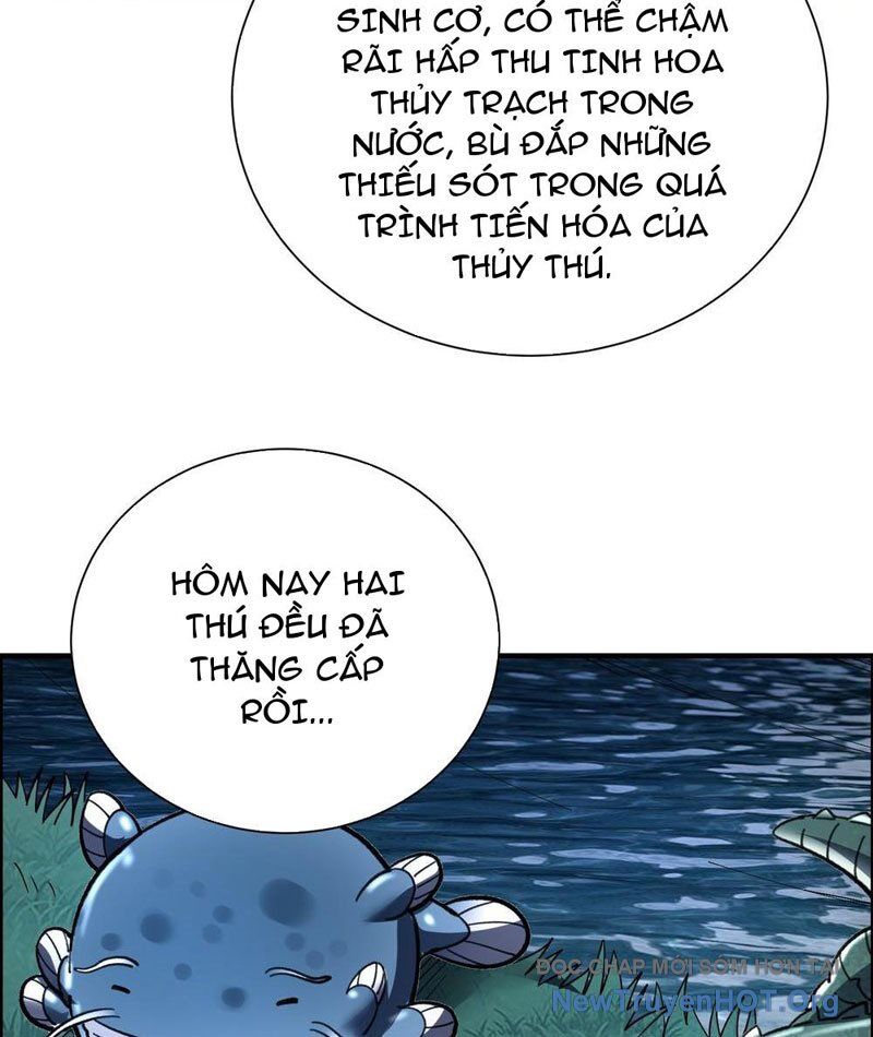 Thành Thần Bắt Đầu Từ Thủy Hầu Tử