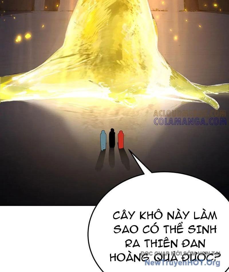 Hóa Ra Các Cô Ấy Mới Là Nhân Vật Chính