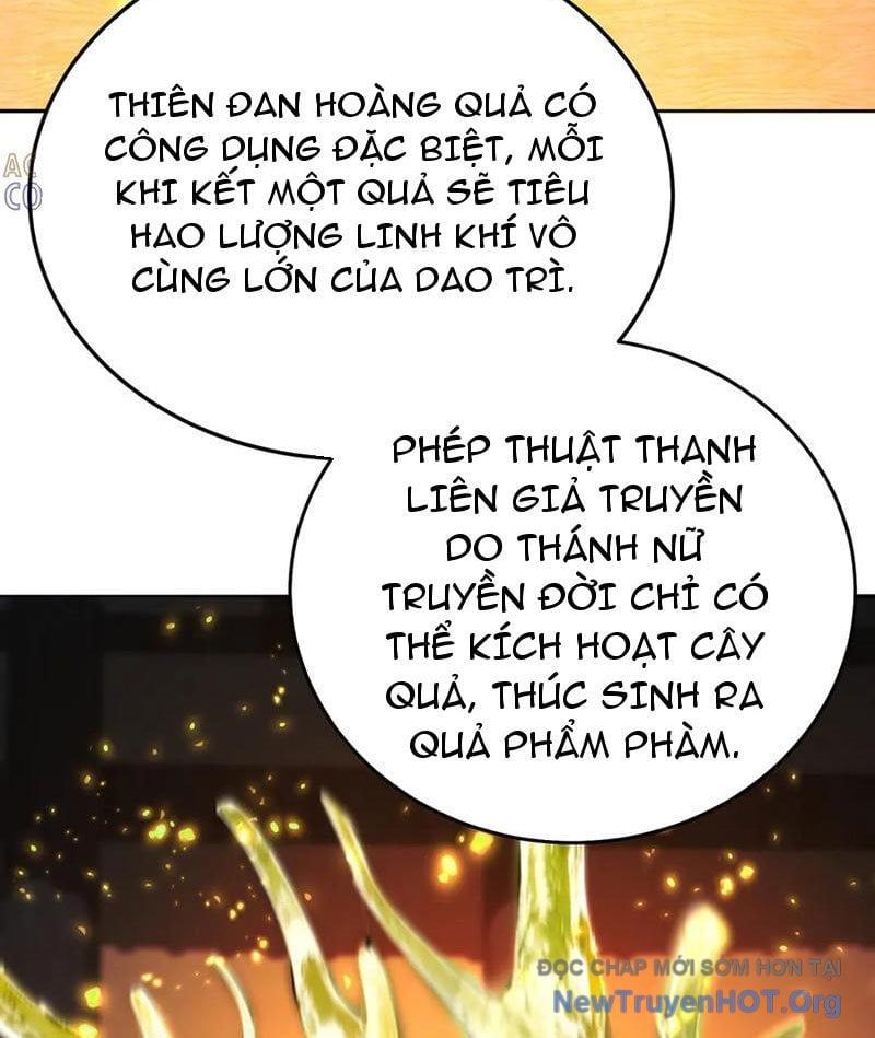 Hóa Ra Các Cô Ấy Mới Là Nhân Vật Chính