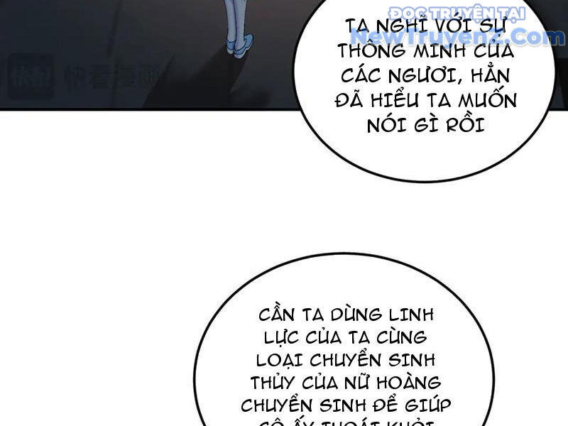 Hóa Ra Các Cô Ấy Mới Là Nhân Vật Chính