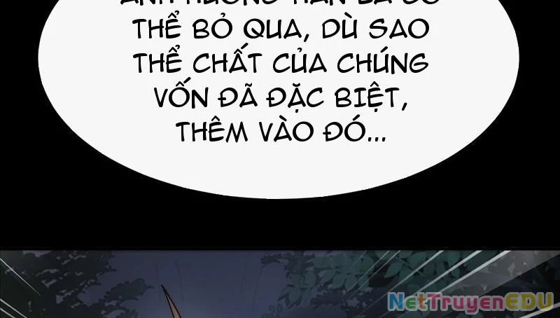 Ta Thực Sự Không Có Hứng Tu Tiên