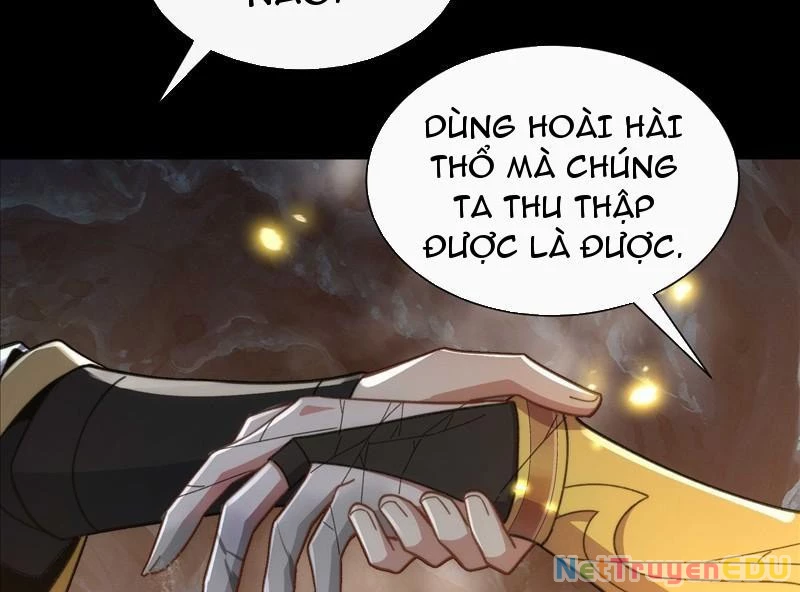 Ta Thực Sự Không Có Hứng Tu Tiên