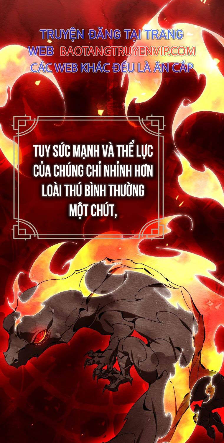 Trở Thành Thiên Tài Tốc Biến Của Học Viện Ma Pháp