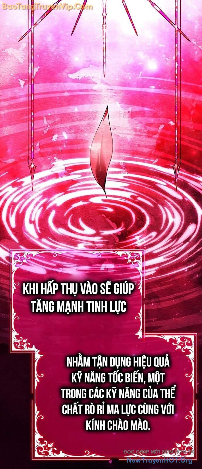 Trở Thành Thiên Tài Tốc Biến Của Học Viện Ma Pháp