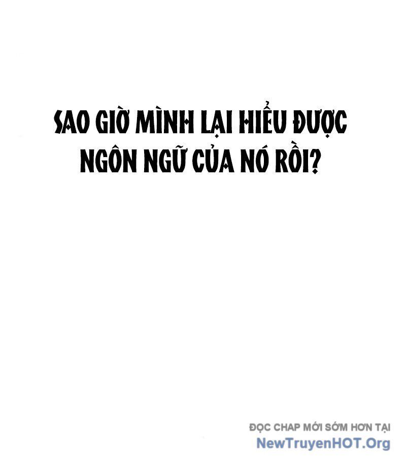 Tanker Hạng C Bất Tử