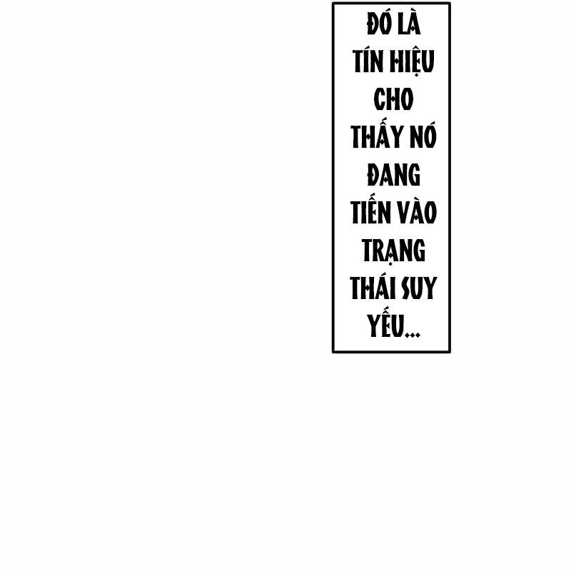 Vô Song Cùng Với Vũ Khí Ẩn