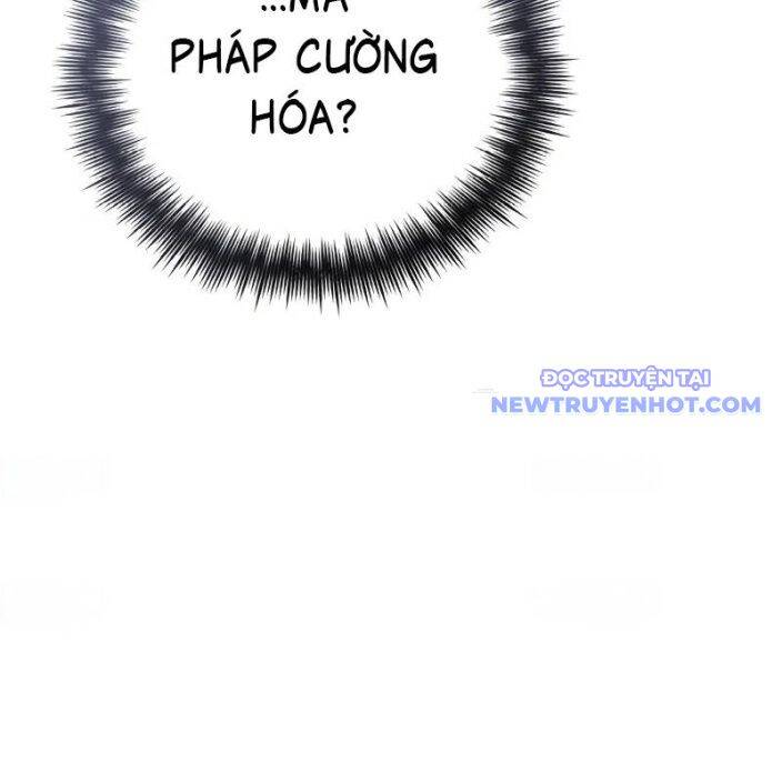 Đa Sắc Ma Pháp Sư Thiên Tài
