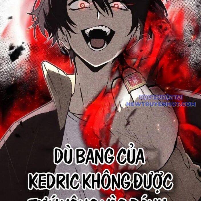 Đa Sắc Ma Pháp Sư Thiên Tài