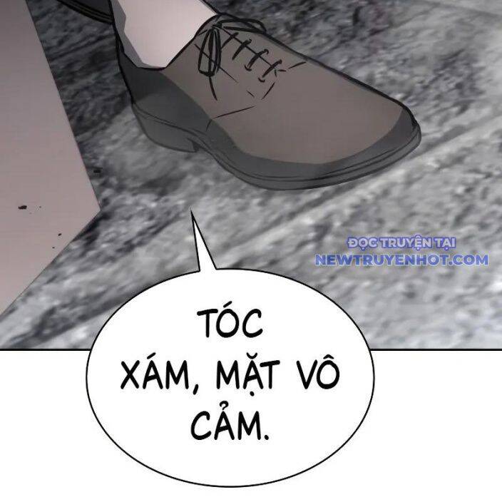 Đa Sắc Ma Pháp Sư Thiên Tài