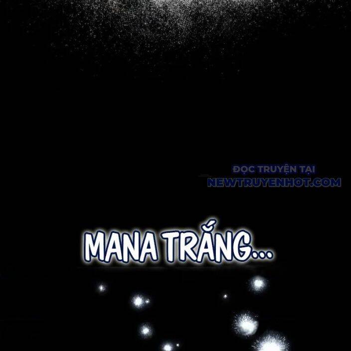 Đa Sắc Ma Pháp Sư Thiên Tài