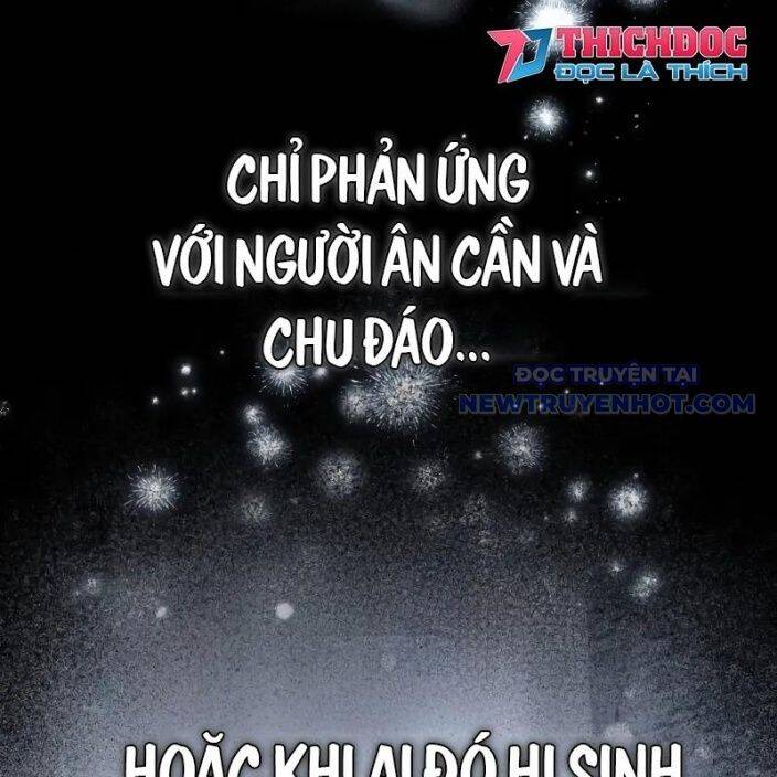 Đa Sắc Ma Pháp Sư Thiên Tài