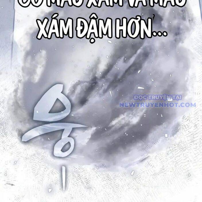 Đa Sắc Ma Pháp Sư Thiên Tài