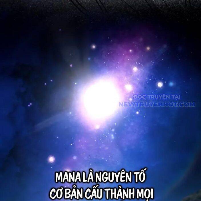 Đa Sắc Ma Pháp Sư Thiên Tài