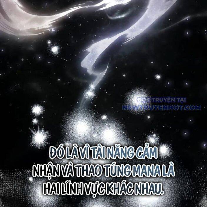 Đa Sắc Ma Pháp Sư Thiên Tài