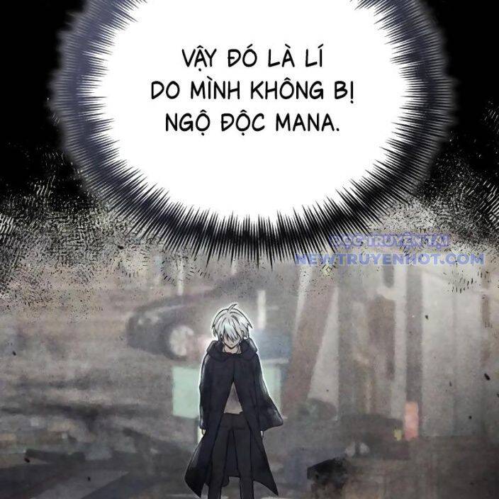 Đa Sắc Ma Pháp Sư Thiên Tài