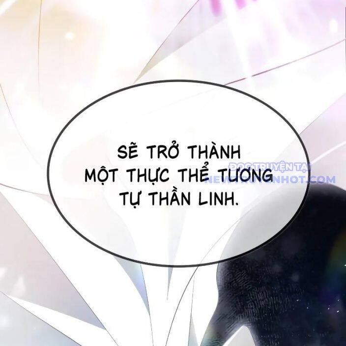 Đa Sắc Ma Pháp Sư Thiên Tài