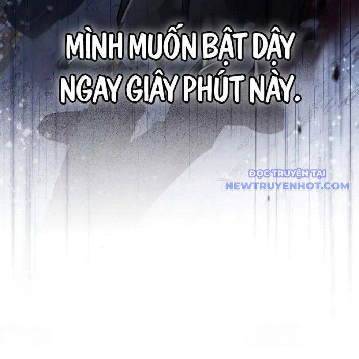 Đa Sắc Ma Pháp Sư Thiên Tài