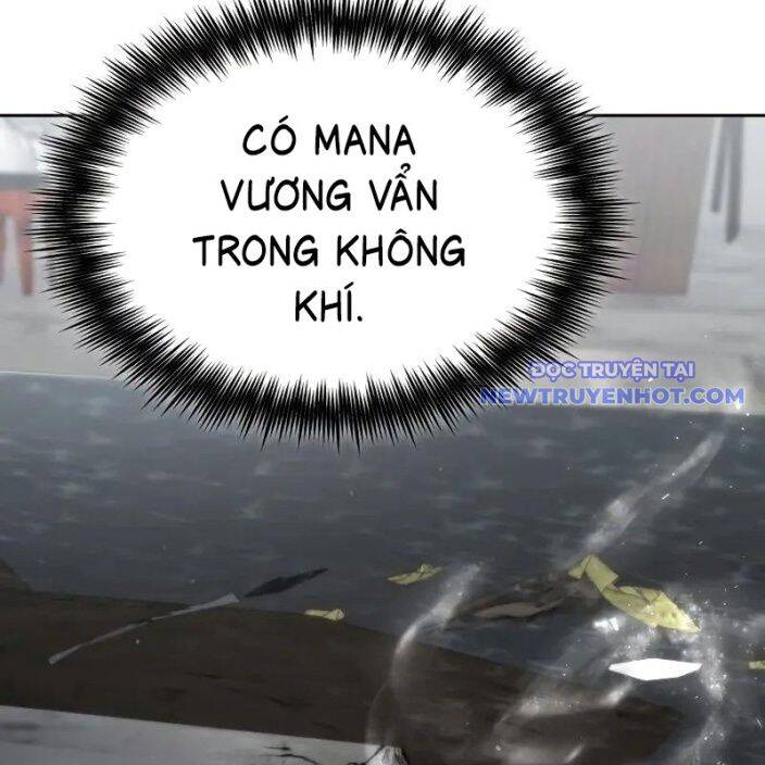 Đa Sắc Ma Pháp Sư Thiên Tài