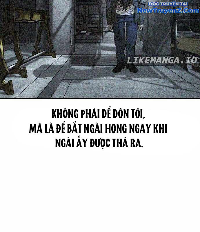 Quý Công Tử