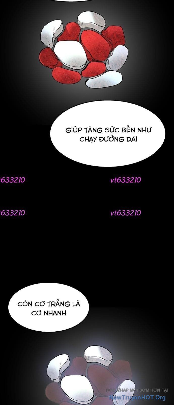 Quý Công Tử