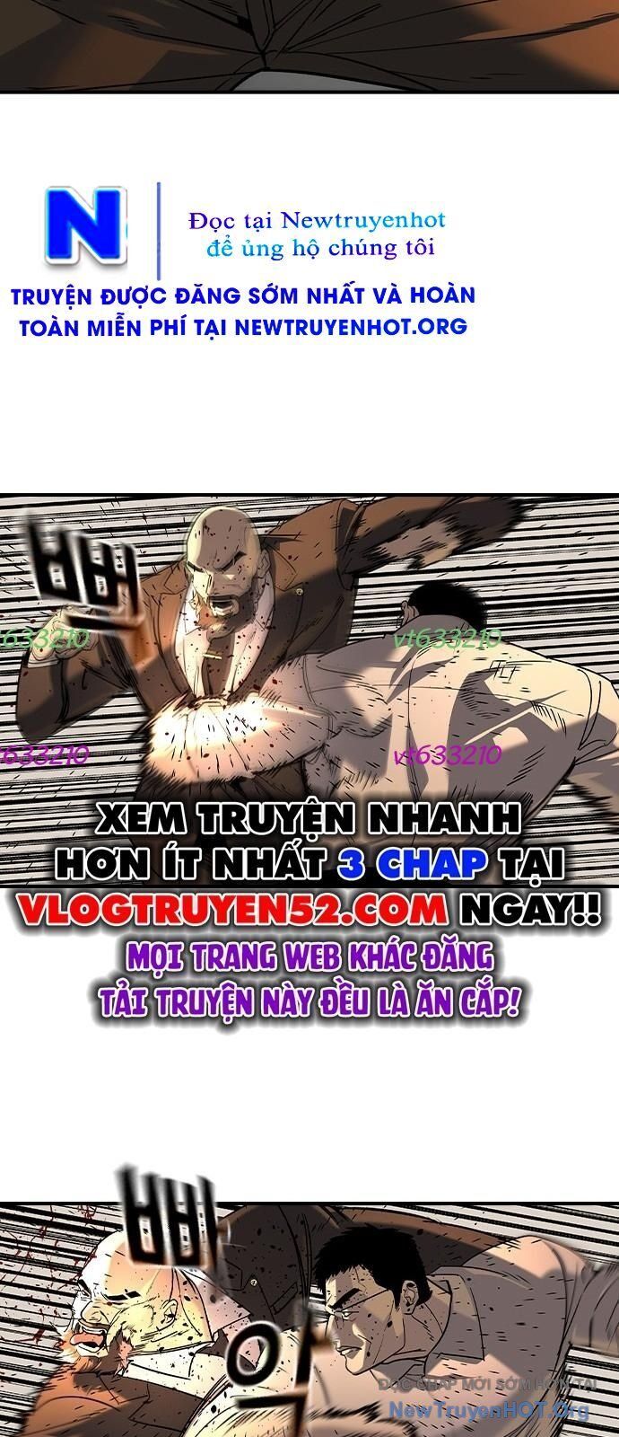 Quý Công Tử