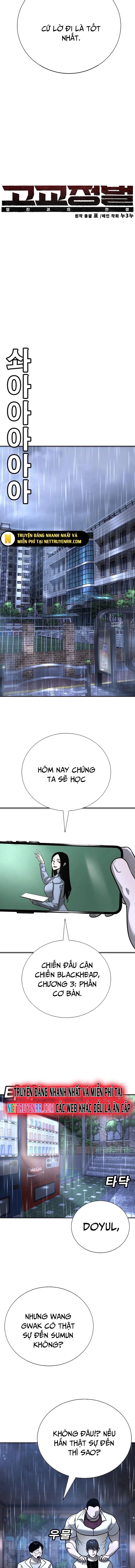Cách Mạng Bắt Nạt
