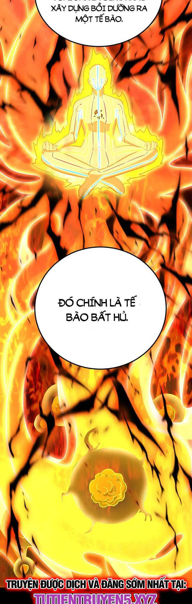 Cao Võ: Hạ Cánh Đến Một Vạn Năm Sau