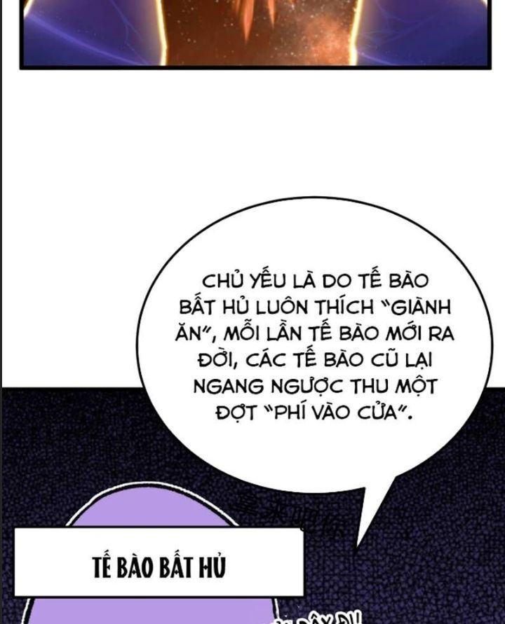 Cao Võ: Hạ Cánh Đến Một Vạn Năm Sau
