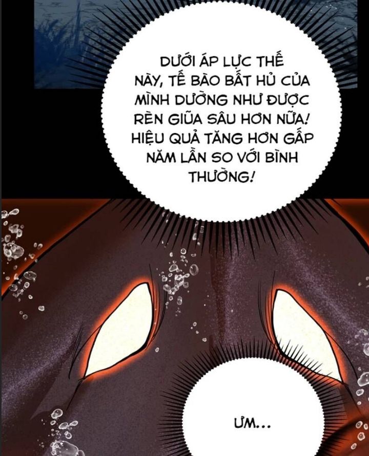 Cao Võ: Hạ Cánh Đến Một Vạn Năm Sau