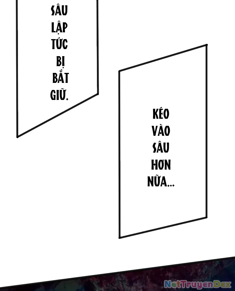 Cao Võ: Hạ Cánh Đến Một Vạn Năm Sau