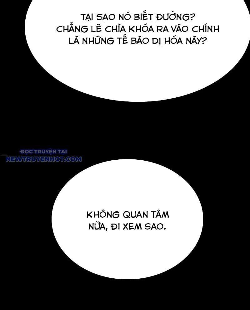 Cao Võ: Hạ Cánh Đến Một Vạn Năm Sau