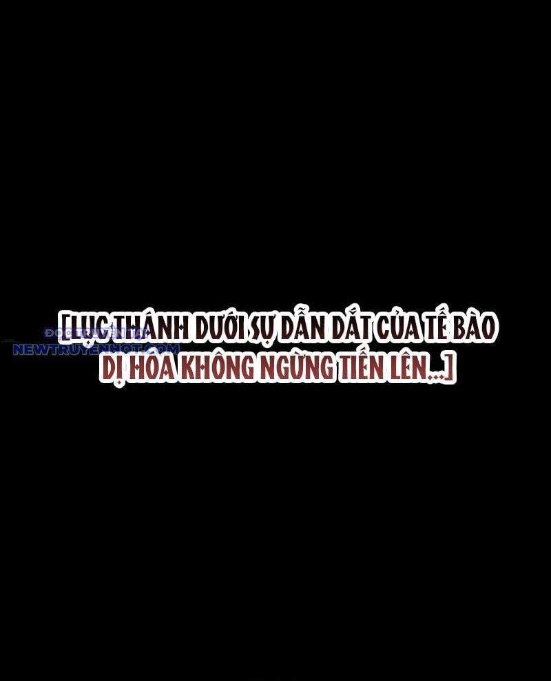 Cao Võ: Hạ Cánh Đến Một Vạn Năm Sau