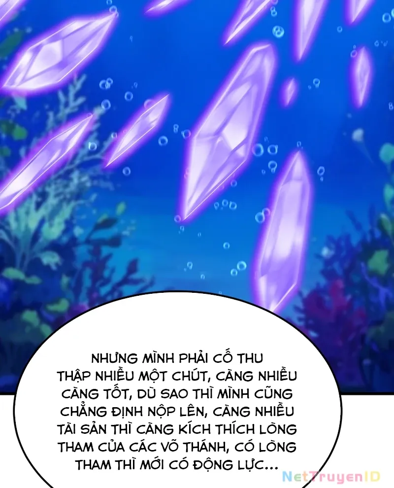 Cao Võ: Hạ Cánh Đến Một Vạn Năm Sau