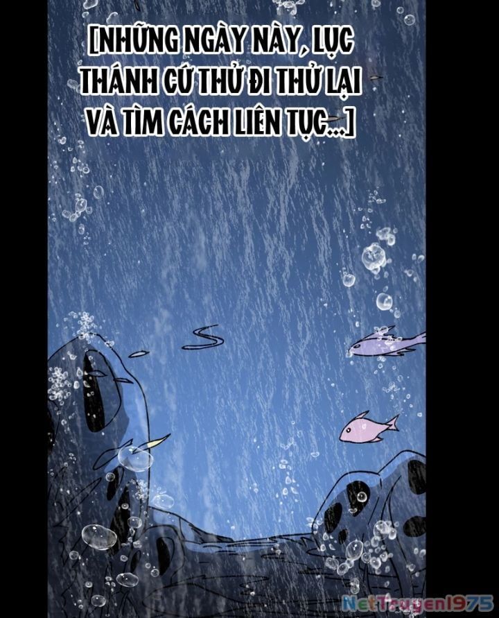 Cao Võ: Hạ Cánh Đến Một Vạn Năm Sau