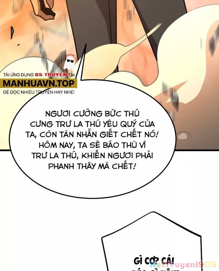 Cao Võ: Hạ Cánh Đến Một Vạn Năm Sau