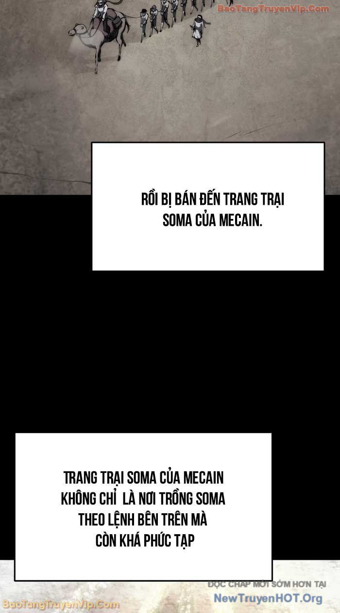 Sát Long Nhân Hồi Quy Siêu Việt
