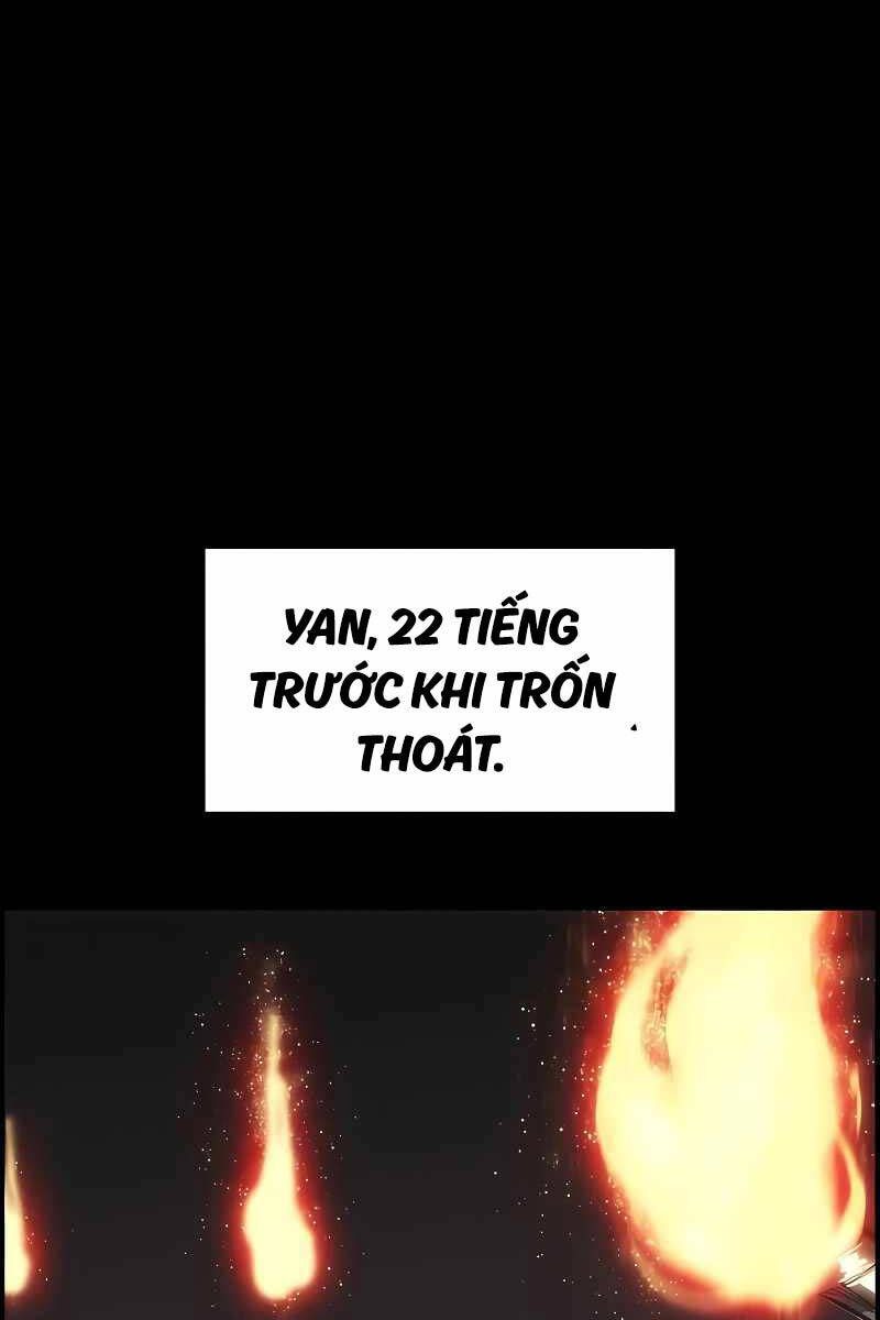 Bản Năng Hồi Quy Của Chó Săn