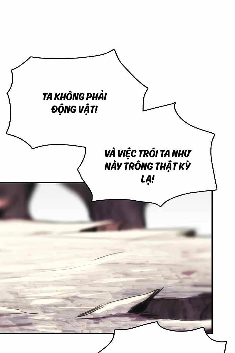 Bản Năng Hồi Quy Của Chó Săn