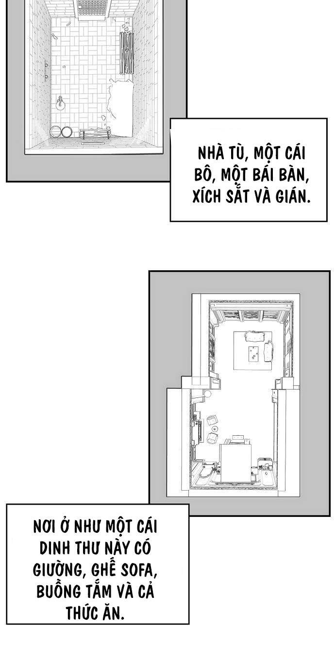 Bản Năng Hồi Quy Của Chó Săn