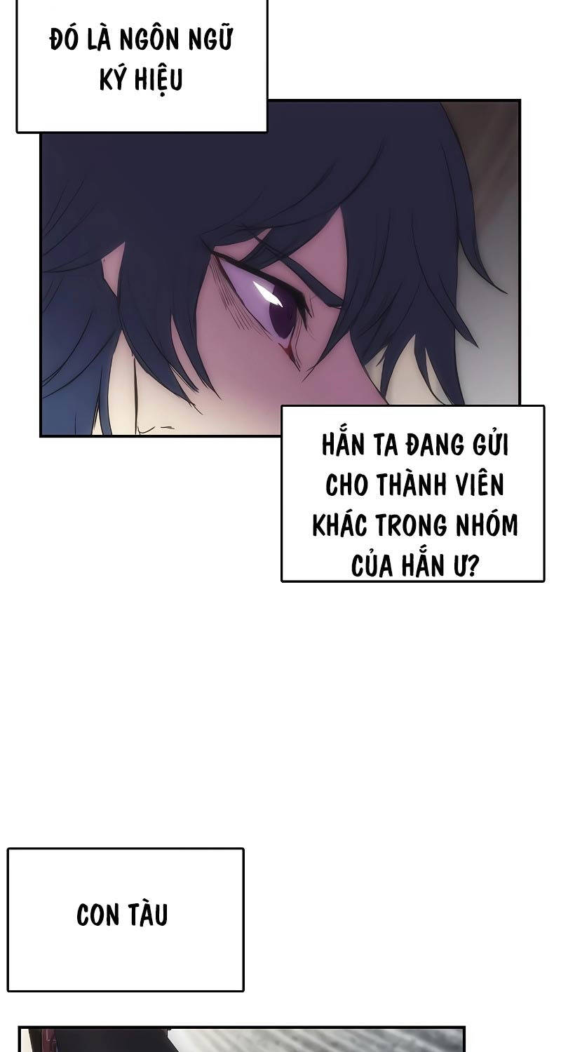 Bản Năng Hồi Quy Của Chó Săn