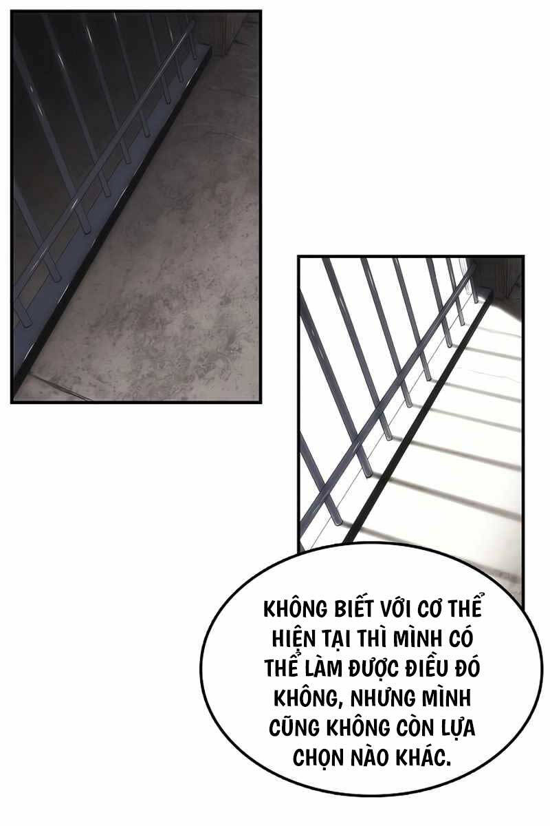 Bản Năng Hồi Quy Của Chó Săn