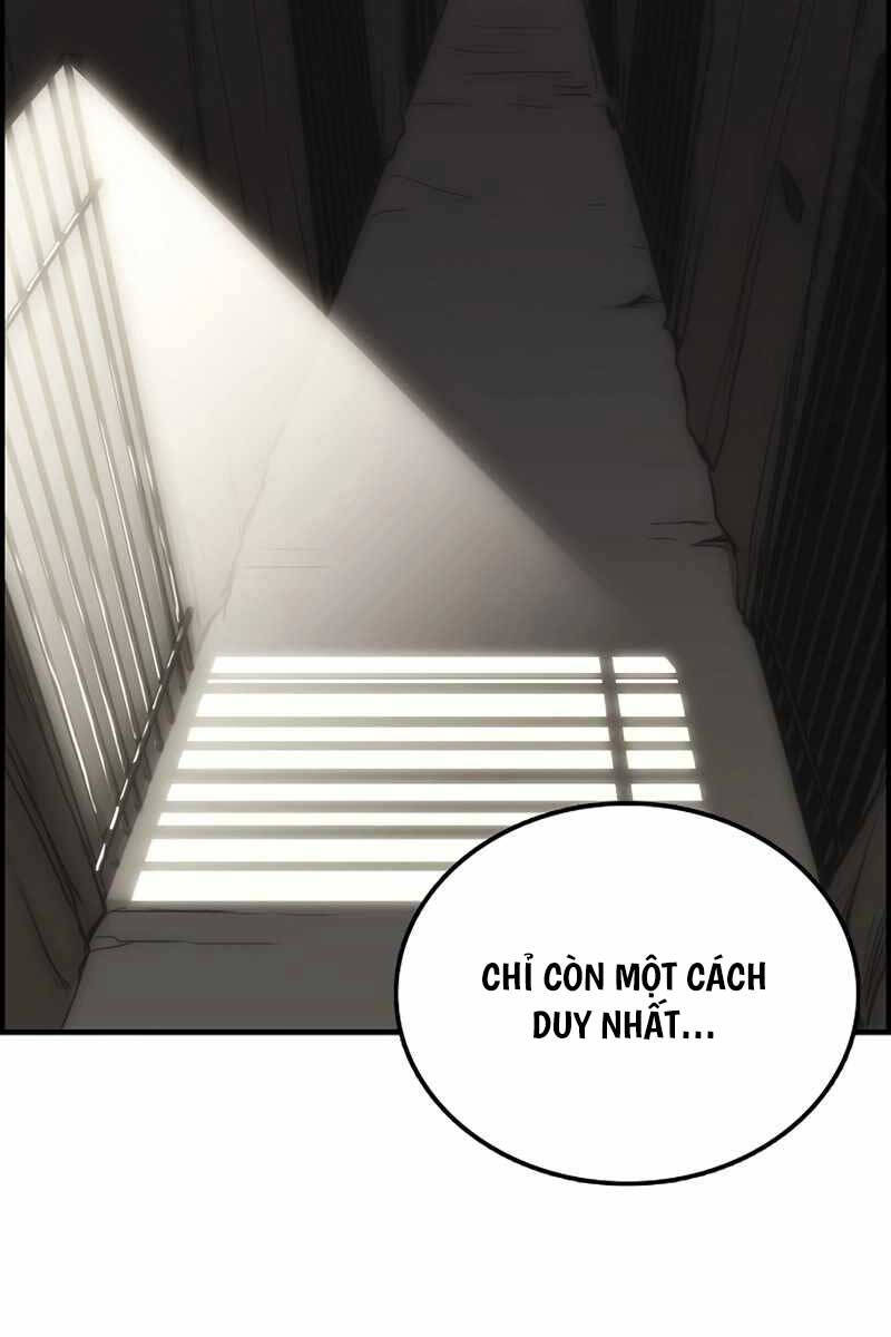 Bản Năng Hồi Quy Của Chó Săn