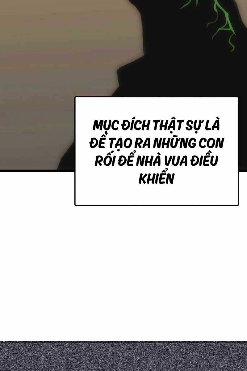 Bản Năng Hồi Quy Của Chó Săn