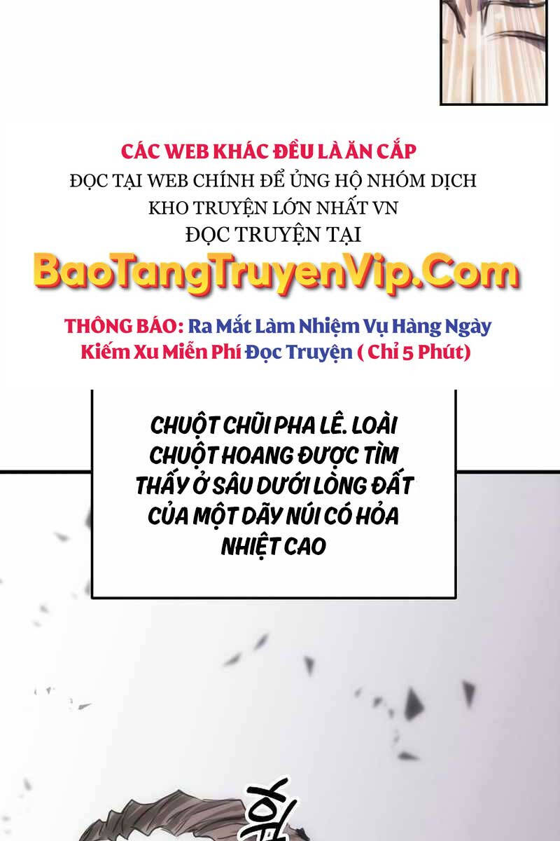 Bản Năng Hồi Quy Của Chó Săn