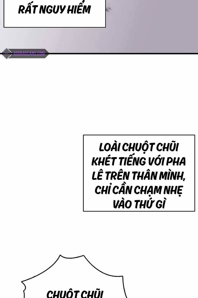 Bản Năng Hồi Quy Của Chó Săn