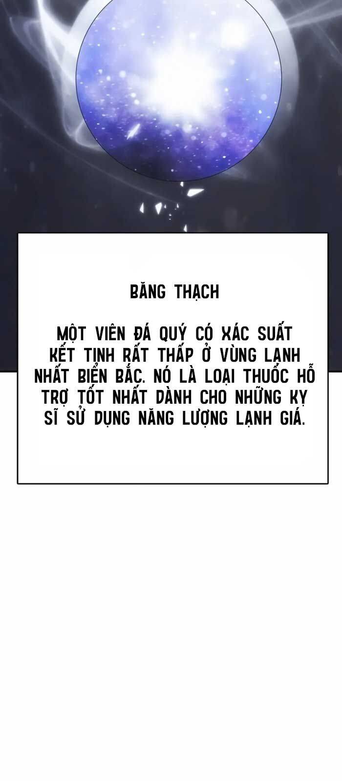 Bản Năng Hồi Quy Của Chó Săn