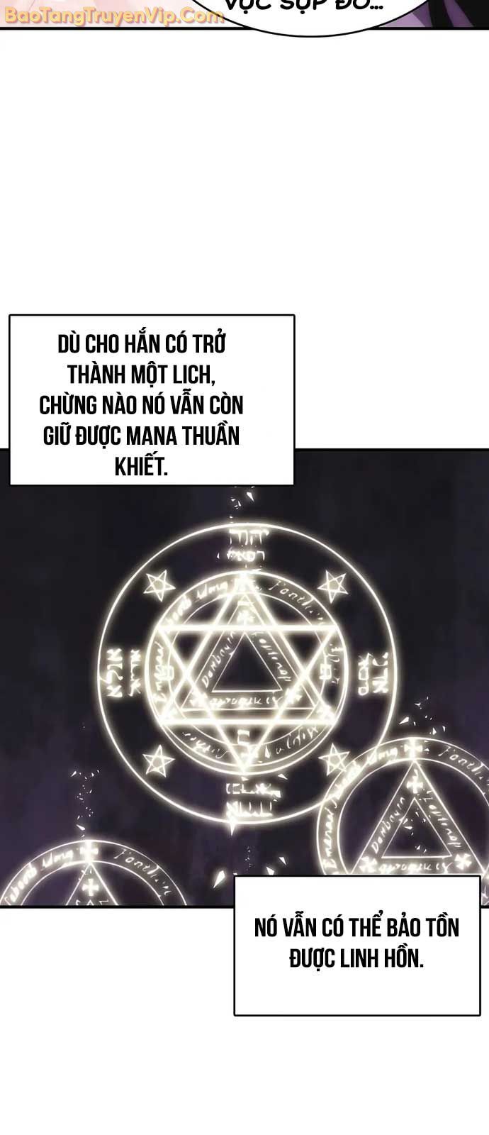 Bản Năng Hồi Quy Của Chó Săn