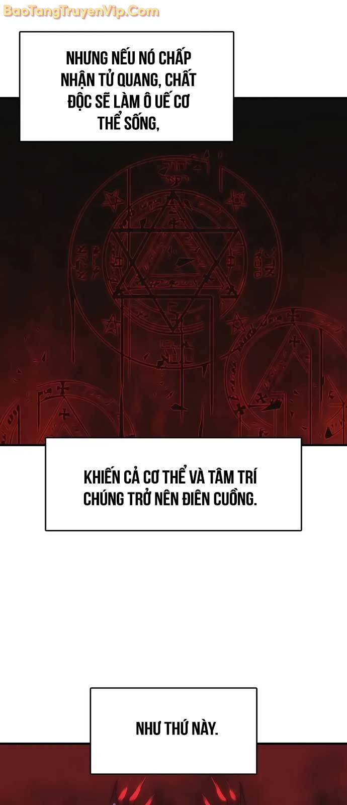 Bản Năng Hồi Quy Của Chó Săn